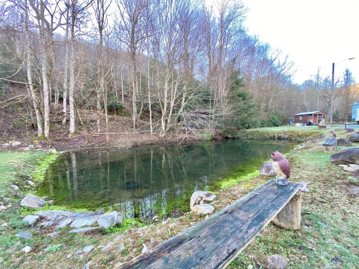 Maggie Valley Cabin Rentals Buitenkant foto